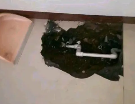 敦化卫生间测漏水多少钱